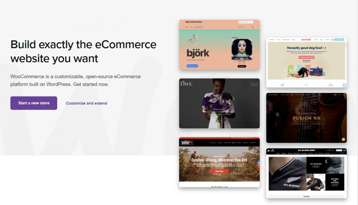 WooCommerce